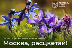 Фестиваль «Москва, расцветай!» идет по всему городу
